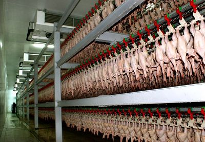 ОАО "Саянский бройлер"