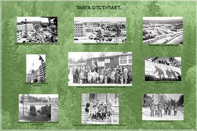 11 ТАЙГА ОТСТУПАЕТ.