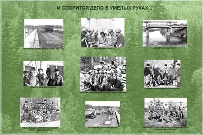 16 И спорится дело в умелых руках..