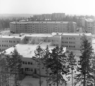 3 школа, дом 62, 63