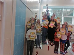 Вольный стиль,  брасс,  баттерфляй