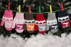 Саянская варежка