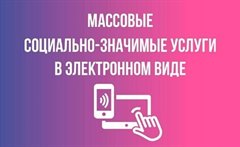 Доступность массовых социально значимых услуг в электронном виде
