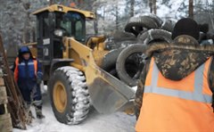 Формируем эко-привычки