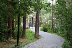 Парк «Таежные бульвары» − предмет гордости саянцев