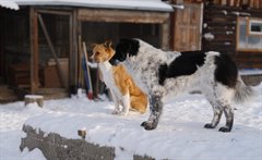 Решение лежит на поверхности
