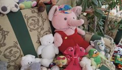 Акция "Выбери игрушку"