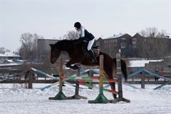 Соревнования по конкуру