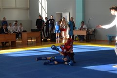 Открытие турнира по ушу-саньда