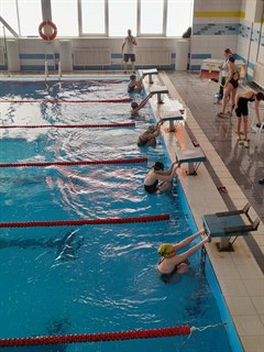 Байкальская нерпа