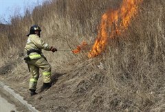 Профилактические отжиги сухой растительности
