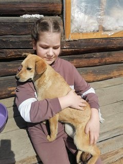 Чтобы было меньше бездомных