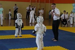 Поединки на татами