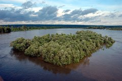 Изменение движения на участке проезжей части моста через р. Ока