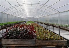 В тандеме с природой