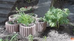 Дворы всем на загляденье