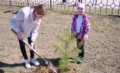 Летняя занятость школьников