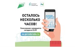 Голосование за объекты благоустройства завершается сегодня, 30 мая, в 23:59