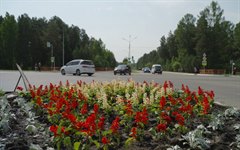 Цветущий город