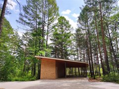 Открытие летнего киносезона в парке "Таежные бульвары"