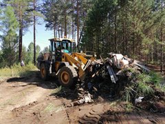 Чисто там, где не мусорят