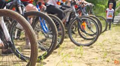 Велозаезд: сила, выносливость и велосипеды