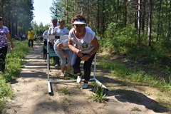 Движение – это жизнь!