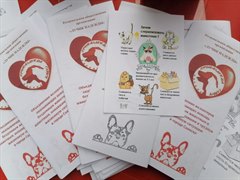 Некоммерческая организация помощи бездомным животным «Лучик надежды» приняла активное участие в фестивале «ЭкоСаянск»