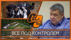 Все под контролем