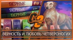 Верность и любовь четвероногих