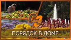 Порядок в доме