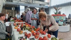 Парад томатов