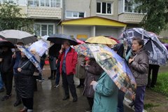 Саянцы дорожат комфортом