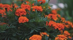 Общими усилиями