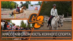 Красота и сложность конного спорта