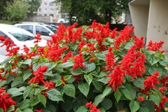 Радует, вселяет надежду и уверенность в завтрашнем дне