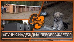 «Лучик надежды» преображается