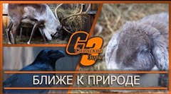 Ближе к природе