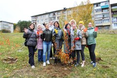 Подарить городу еще больше красоты