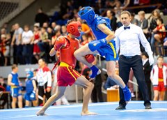 Всероссийские соревнования по ушу-саньда