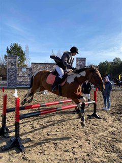 Праздник конного спорта