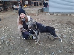 Помогли бездомным животных