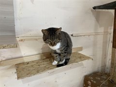 Не останемся в стороне