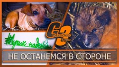 Не останемся в стороне