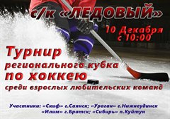 Турнир регионального кубка по хоккею