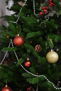 Новый год - время чудес