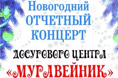 Новогодний отчетный концерт досугового центра "Муравейник"