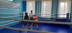 Новогодний приз для юных боксеров