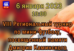 VIII Региональный турнир по мини-футболу, посвященный памяти Дмитрия Каминского