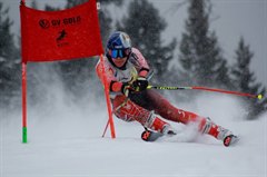 Оправдывая ожидания